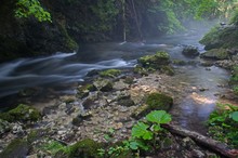 Creek Velka Biela Voda In The Slovensky Raj National Park, Northern Slovakia.