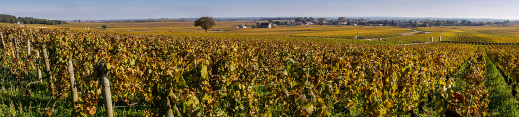 magnifique Bourgogne