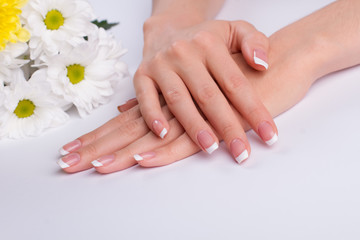 Fotomurales - Beautiful french manicure with white daisies.