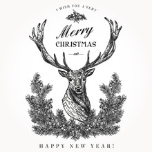 Christmas Card With A Deer.