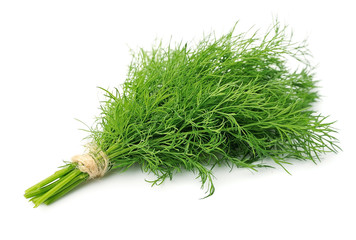 Fresh dill