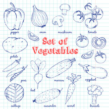 Vector Set Of  Vegetables