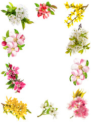 Wall Mural - frame from blossoms of apple tree, cherry twig, pear, forsythia