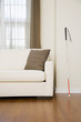 © xixinxing - Walking stick in a living room