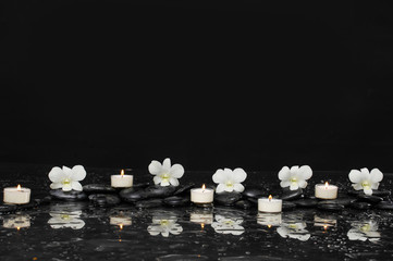 Still life with orchid with white candle on black stones