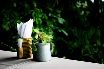 Decorations on a Dining Table