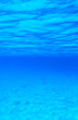 © Pakhnyushchyy - underwater