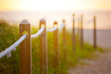 path on the sand going to the ocean in miami beach florida at sunrise or sunset, beautiful nature la