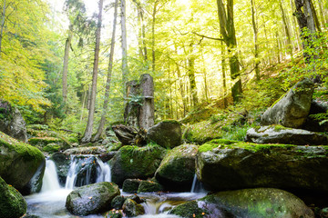 Magic Harz landscape in autum