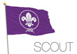 scout flag