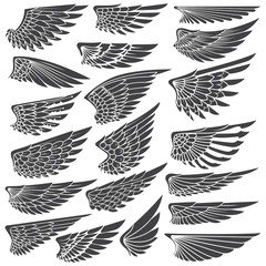 big set sketches of wings