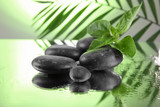 Fototapeta Desenie - Spa stones and green palm branch on light green background