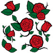 Set of red roses and buds. Tattoo style. Vector illustration