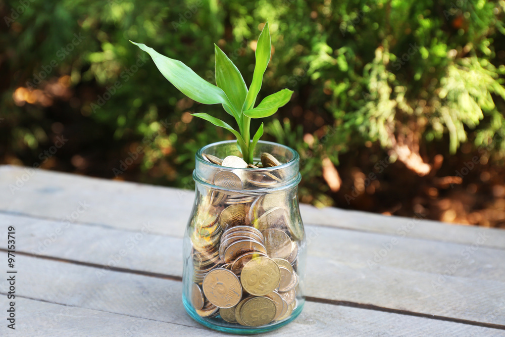 Plant growing in coins outside