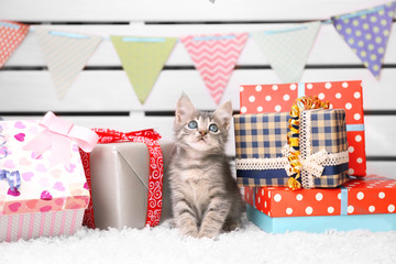 Wall Mural - Cute little grey kitten celebrating birthday