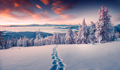 Foggy winter sunrise in the snowy mountain