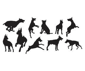 Wall Mural - Silhouette Doberman Dog