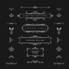Wall Mural - vintage design vector elements. flourishes calligraphic