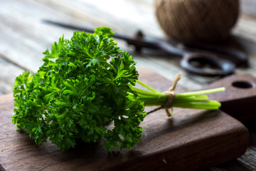 Wall Mural - Parsley