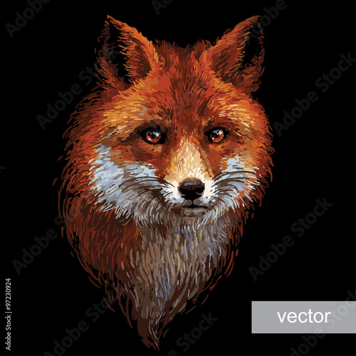 colored-fox-illustration-on-white