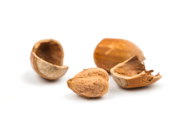 Poster - hazel nuts in the shell