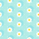 White daisy seamless pattern .Daisy field. Flower chain
