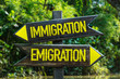 Immigration - Emigration signpost with forest background