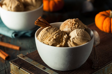 Wall Mural - Homemade Pumpkin Pie Ice Cream