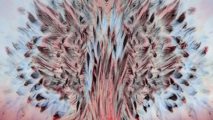  Bright brown feather group of some bird