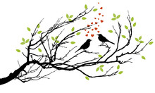 Two Birds In Love With Hearts On A Branch