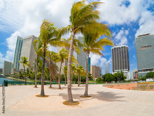 Plakat Bicentennial park w Miami z widokiem na panoramę miasta