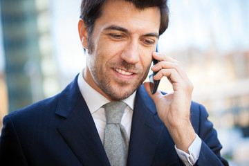 Wall Mural - Businessman talking on the phone