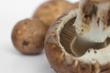 Wall Mural - Champignons - fresh mushrooms