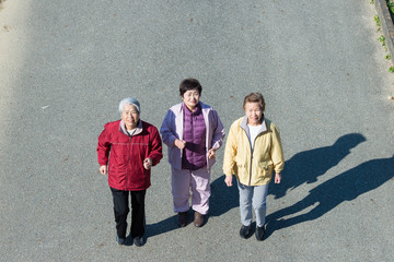 Wall Mural - 道路を歩く3人の日本人高齢者