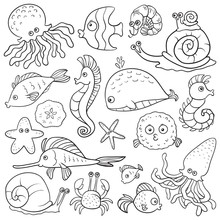 Vector Colorless Set About Fishes