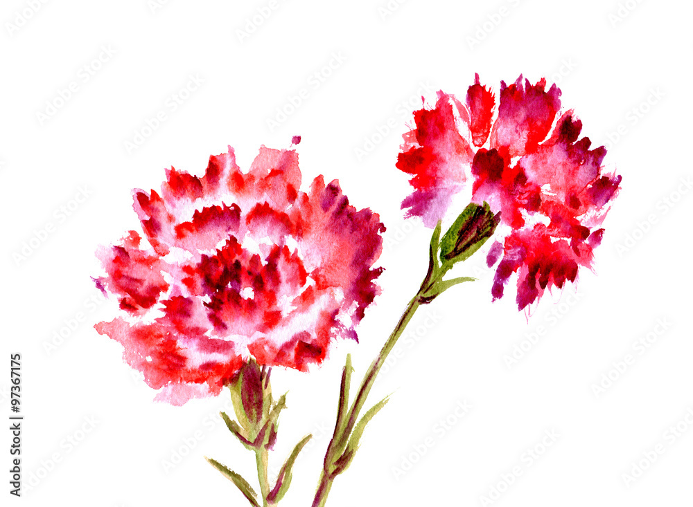 Watercolor red flower carnation - obrazy, fototapety, plakaty 