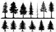 conifer tree silhouettes
