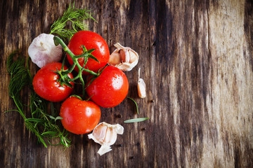 ripe tomatoes and herbs