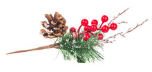 Christmas Tree Branch Red Berries And Cones Decoration