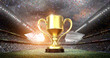 © efks - winners cup in the stadium