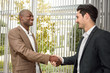 © javiindy - Black businessman shaking hands with a caucasian one