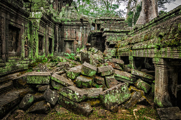Fototapete - Ancient ruins of Ta Prohm temple, Angkor, Cambodia 