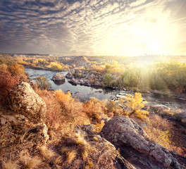 Wall Mural - trees on shore of mountain river