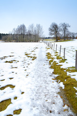 Wall Mural - winter scenery Osterseen