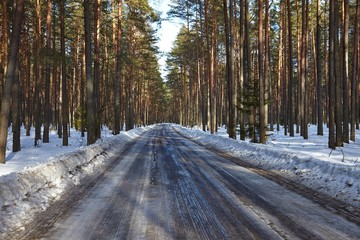 Wall Mural - Winter Road