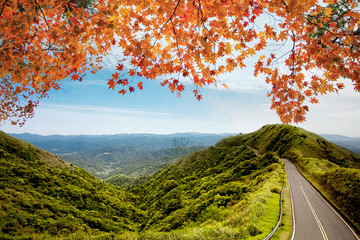 image of road in autumn forest. Autumn landscape