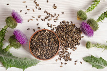Seeds Of A Milk Thistle With Flower (Silybum Marianum, Scotch Th