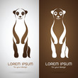 Vector image of an meerkats design on white background and brown