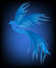 Abstract Blue Bird On Dark Background