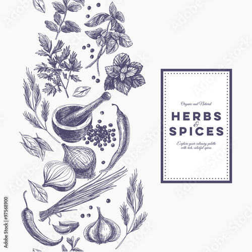 Fotografie, Obraz Vector background with hand drawn herbs and spices.
